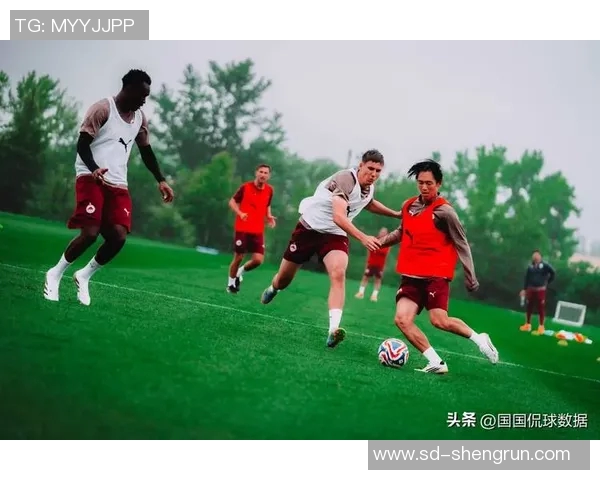 冷门足球明星的奇幻旅程那些被遗忘的绿茵场上的英雄们